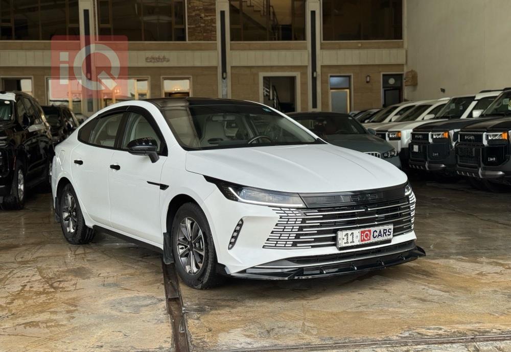 بي واي دي ديستروير 05